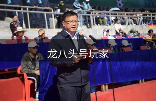 龙八头号玩家品牌故事